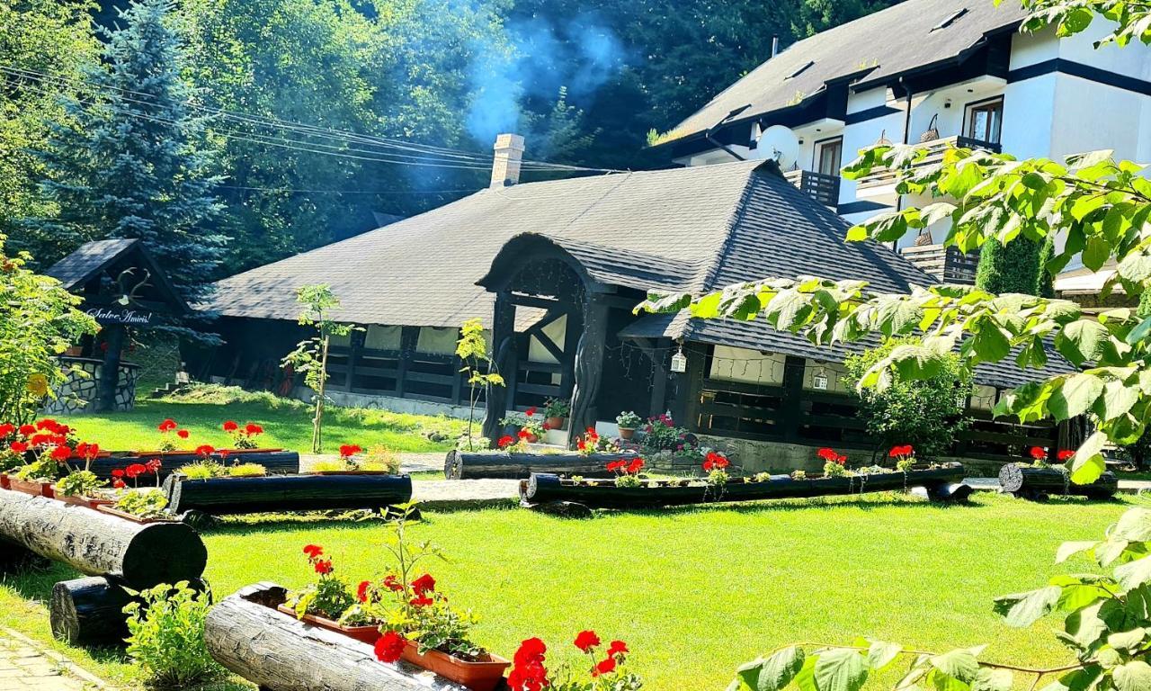 Casa Octavian Otel Sucevita Dış mekan fotoğraf